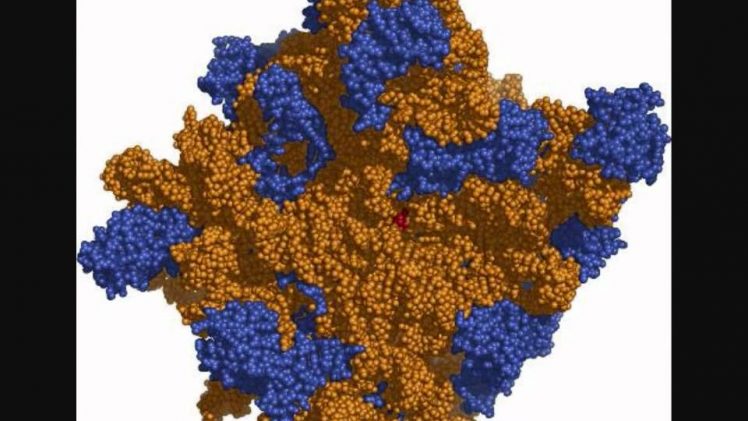 Celula &ndash; structur&abreve; și tr&abreve;s&abreve;turi
